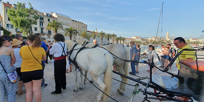 FOTOGALERIJA 'Fešta o' konja i tovara starega Splita' na Matejuški
