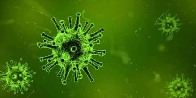 Na području Zadarske županije 45 novih slučajeva zaraze koronavirusom