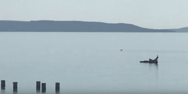 VIDEO Dupini stigli na Bačvice