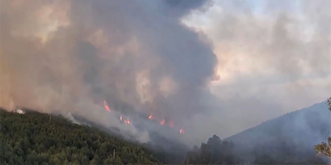 VELIKA ŠTETA Požar na Korčuli bjesnio pet dana, izgorjelo je 200 hektara terena