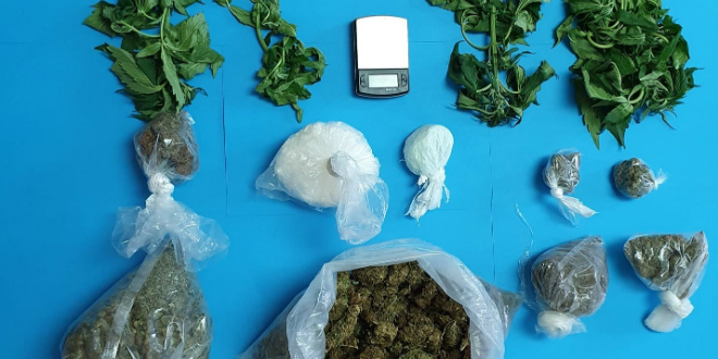 PRETRAGE Našli više od pola kilograma marihuane, 185 grama speeda i biljke kanabisa