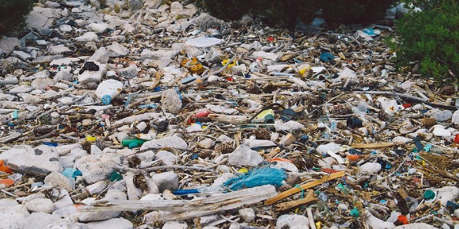 FOTOGALERIJA Udruzi RokOtok uručeno 100 tisuća kuna donacije za nastavak projekta 'Očistimo zajedno jadranske plaže od plastike'
