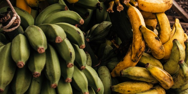 Znate li zašto banane na tržnici često vise u zraku na konopcu?