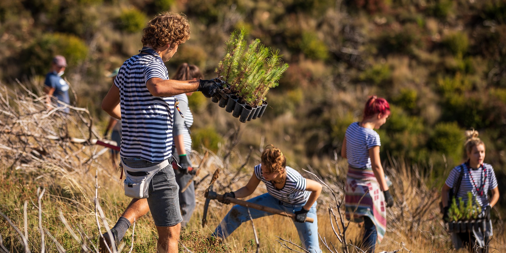 U prvom vikendu ovogodišnje Boranke volonteri zasadili 4000 stabala u sadnicama i sjemenu