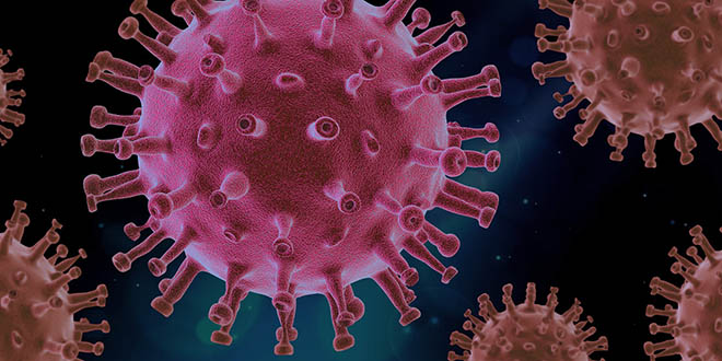 Dok svi čekaju cjepivo protiv korone, Njemačka se priprema za novu pandemiju