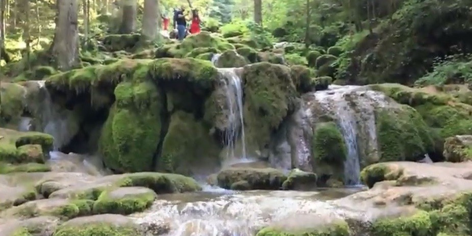 VIDEO Izvor opjevane rijeke Miljacke plijeni svojom ljepotom