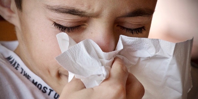 HZJZ Epidemiolozi pojasnili razlike gripe i covida