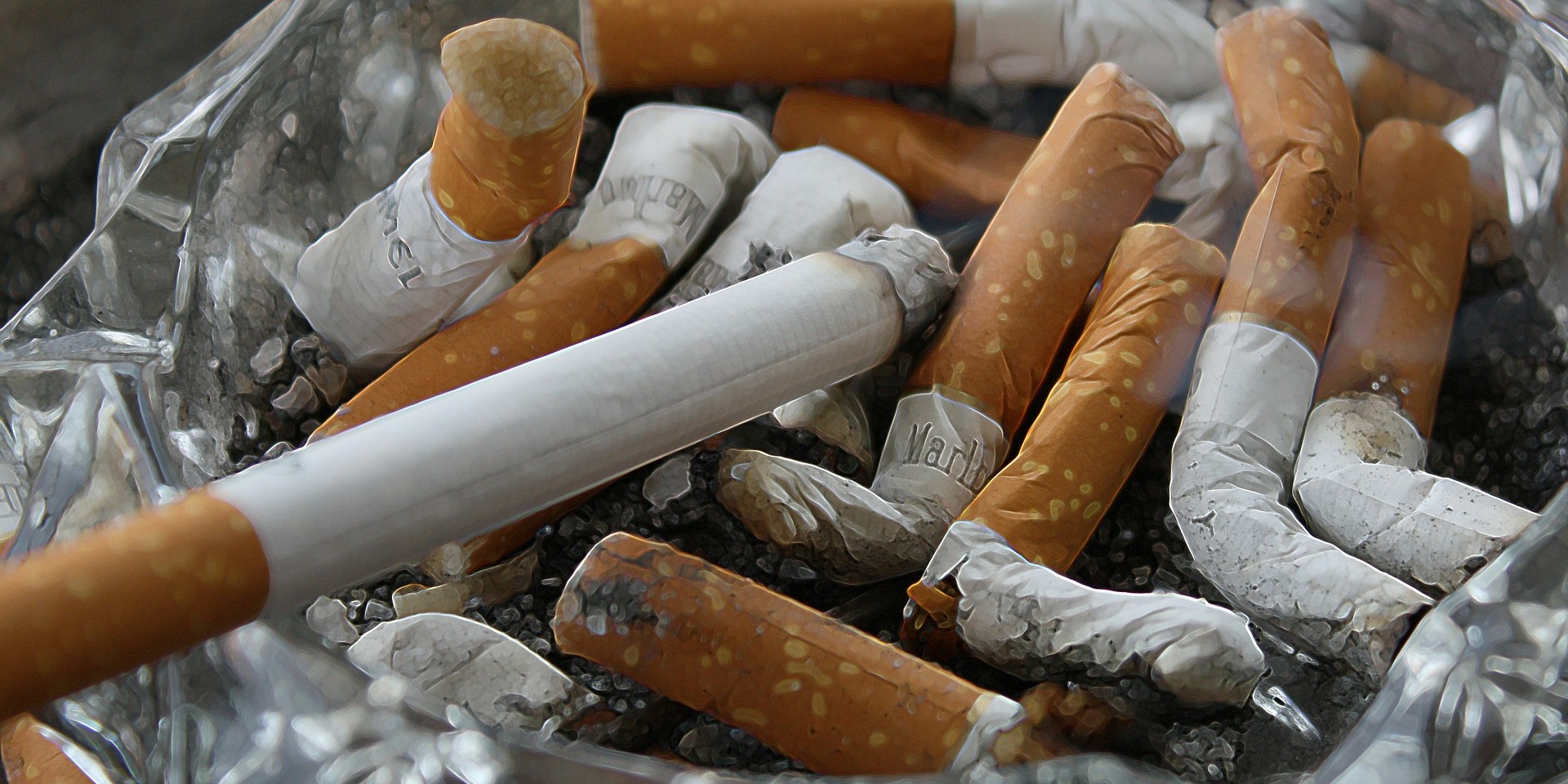 Carina objavila cijenu nove vrste cigareta na tržištu