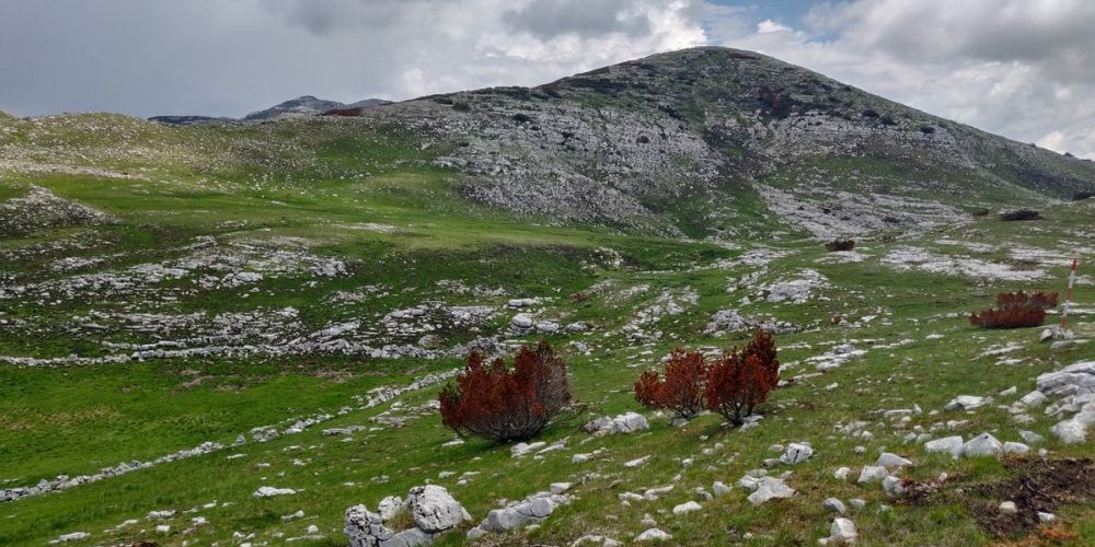 Dinara od sutra i službeno postaje hrvatski 12. park prirode