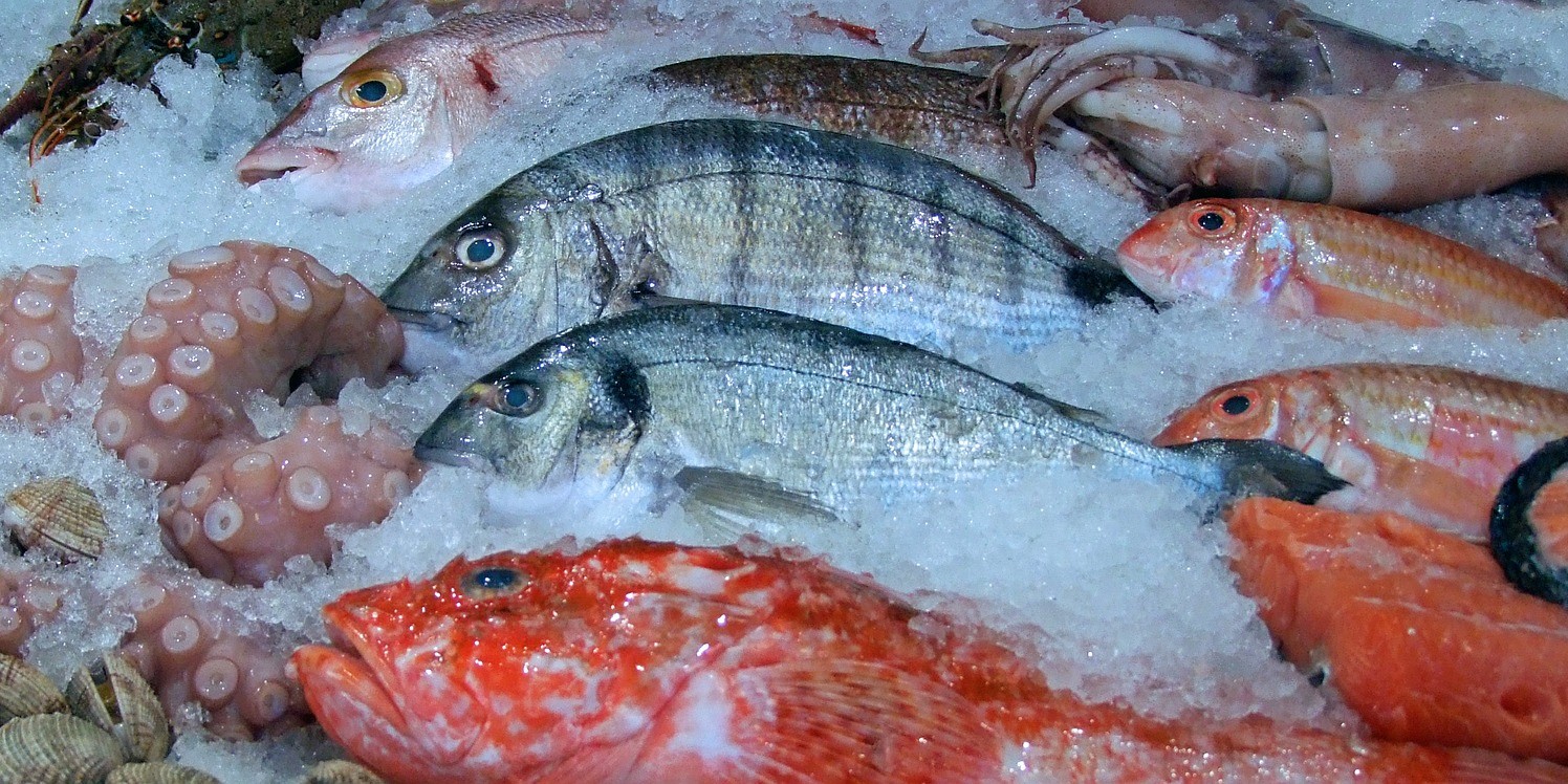 STIGLI NOVI PODACI Evo koliko Hrvati zaista jedu ribe, a koliko je izvozimo