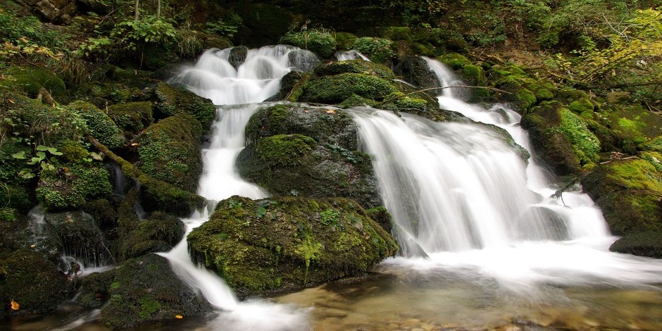 UPRAVLJANJE KVALITETOM: IQM Destination Gorski kotar