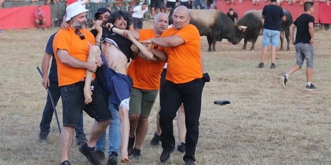 FOTO/VIDEO Tučnjava na koridi u Škopljancima, izbacili navijača, 'najopasniji' bik dobio borbu