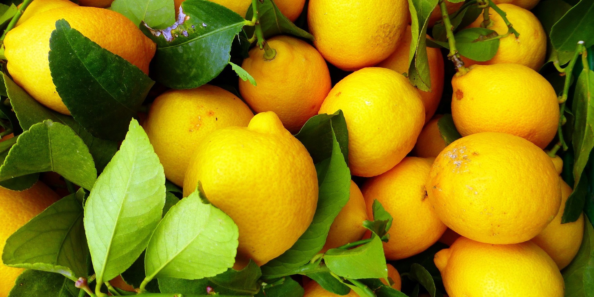 Povlači se turski limun zbog pesticida