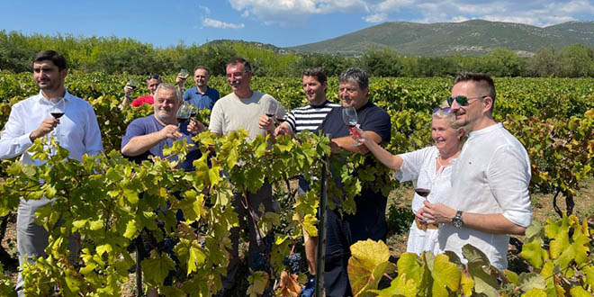 FEŠTA U KAŠTELIMA: 20 godina crljenka proslavljeno u vinogradu odakle je potekao