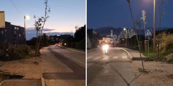 ČELAN UKAZUJE NA ZAPUŠTENI DRVORED 'Puljak se već vidi na Markovom trgu, ali što je Dnevnom dozom koječega?'