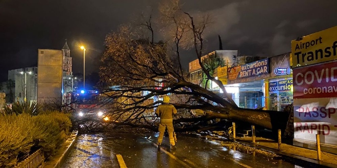 FOTO/VIDEO Velika šteta na Istočnoj obali, olujno jugo srušilo stablo na parkirane motore i štand