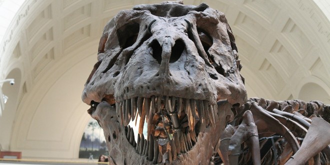 Otkrivena nova vrsta dinosaura