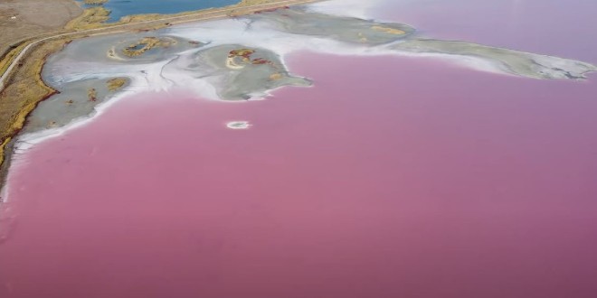 VIDEO Ovo neobično ružičasto jezero nalazi se u Ukrajini