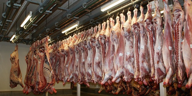 Konferencija o mesu: Strateška grana prehrambene industrije pred brojnim izazovima