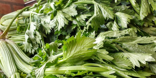 RECEPT Juha od celera
