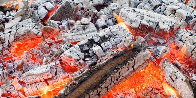 BIZARAN PROBLEM U KRIŽEVCIMA Vol od 600 kg s ražnja pao u vatru