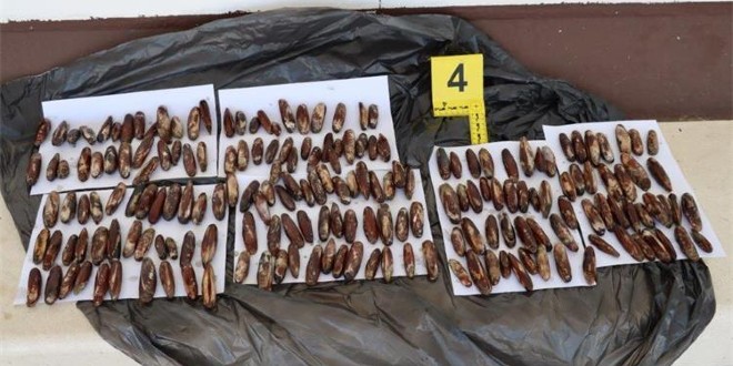AFERA TRPOVI: USKOK traži pritvor za 11 osumnjičenika