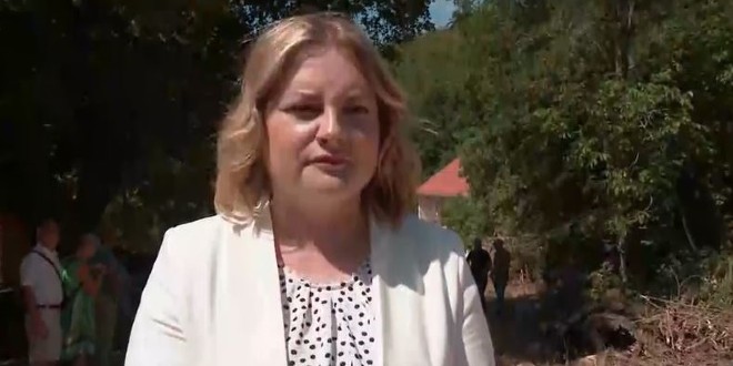 Šimpraga u Saboru kazala kako Hrvatskoj Srbi trebaju više nego ikad. Odgovorio joj je Miro Bulj