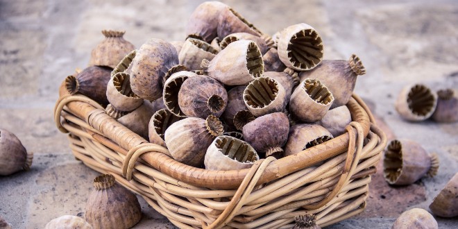 RECEPT Kolač s makom