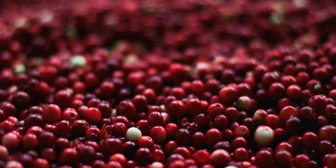 RECEPT Umak od brusnica i vina