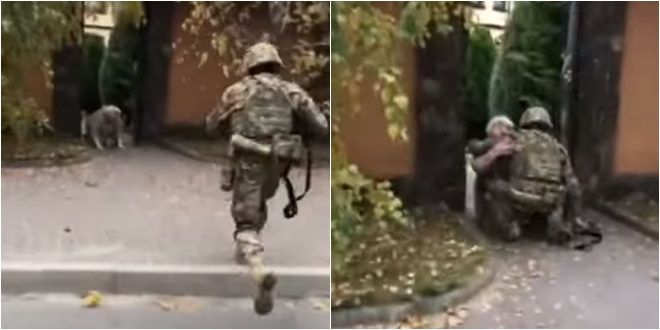 VIDEO Baka dočekala unuka vojnika na koljenima