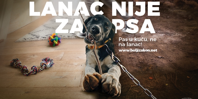 MAJMUN NIJE ZA STAN Prijatelji životinja poslali saborskim zastupnicima brošuru s prijedlozima zakonskih izmjena