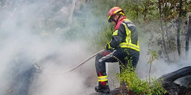 EU će rasporediti vatrogasce iz 12 zemalja na potencijalna mjesta šumskih požara