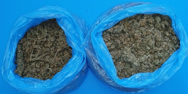 Policija kod Britanca na benkovačkom području našla više od 4 kila marihuane i 38 stabljika