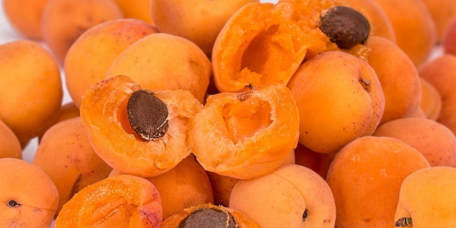RECEPT Marmelada od marelica