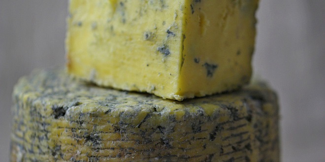 Punomasni sir smanjuje rizik od demencije