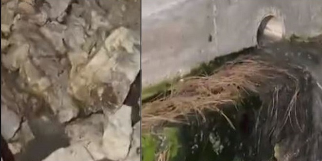Svpetrvs hoteli: Poduzeli smo sve mjere i korake kojima bismo i fizički onemogućili istjecanje bilo kakve tekućine