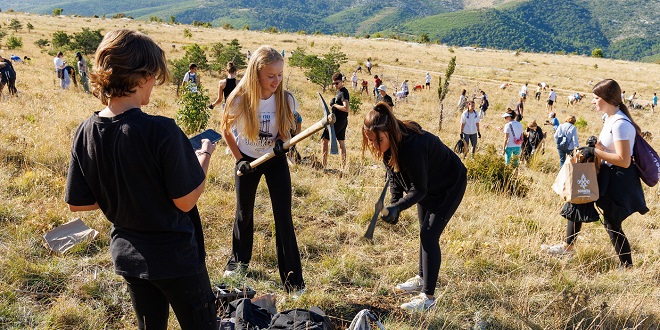 BORANKA Ovu subotu više od 300 volontera pošumljavat će požarište u Grebaštici kod Šibenika