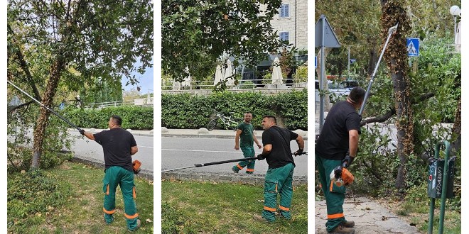 FOTOGALERIJA Južina slomila stablo na Bačvicama