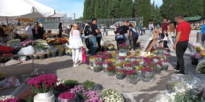 VIDEO Lovrinac krcat, evo što prodavači cvijeća kažu 