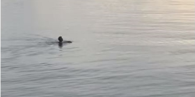 VIDEO Na splitskom Žnjanu još uvijek ima kupača
