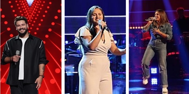 Troje Dalmatinaca ispalo iz Voicea
