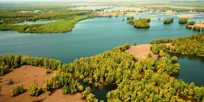 WWF priprema čišćenje kanala u Parku prirode Kopački rit