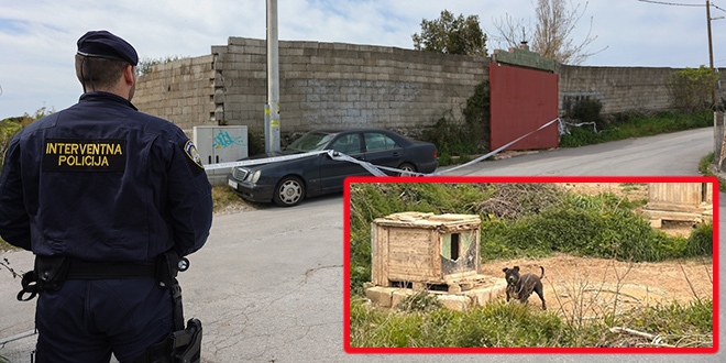 Muškarac u Splitu zlostavljao dva vuka i 67 pasa, držao ih na kratkom lancu