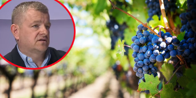 Andrija Vasilj: Od Hercegovine ćemo stvoriti vinsku regiju, a Blatina i Žilavka su naše autohtone sorte koje nema nitko