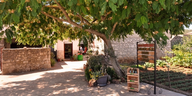 JELSA Sve je spremno za 5. Wine, olive & heritage festival na otoku Hvaru