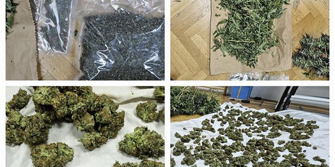 ZAPLJENA U OMIŠU Pronađeno više od 6,5 kilograma marihuane, stabljike i oprema za uzgoj 