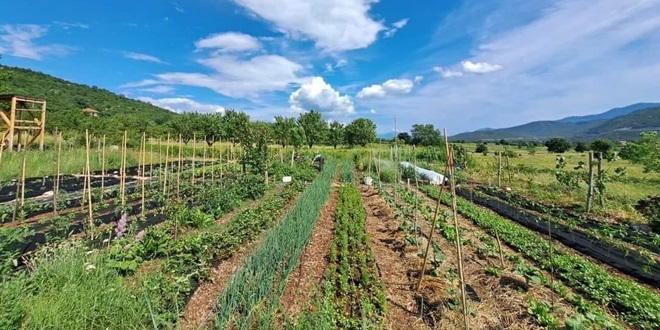 Više od 2 milijuna eura za ruralni razvoj na područjima naseljenim pripadnicima nacionalnih manjina