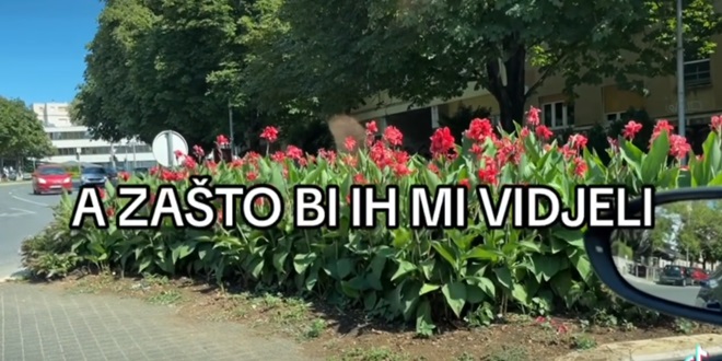 VIDEO Opasno cvijeće