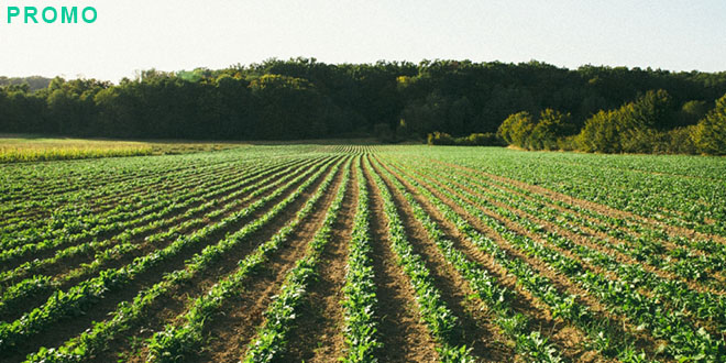 BIO&BIO OBILJEŽAVA EU ORGANIC DAY Održiva budućnost na vašem tanjuru