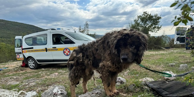 FOTO/VIDEO: HGSS spasio psa iz jame u Lećevici